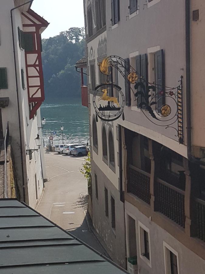 Rhii B&B Eglisau Esterno foto