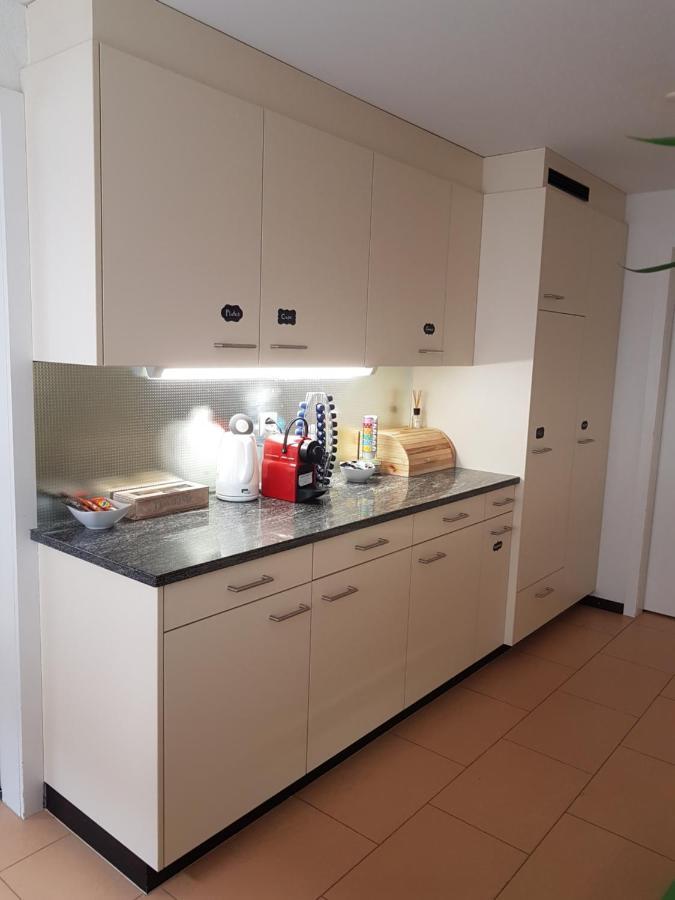 Rhii B&B Eglisau Esterno foto